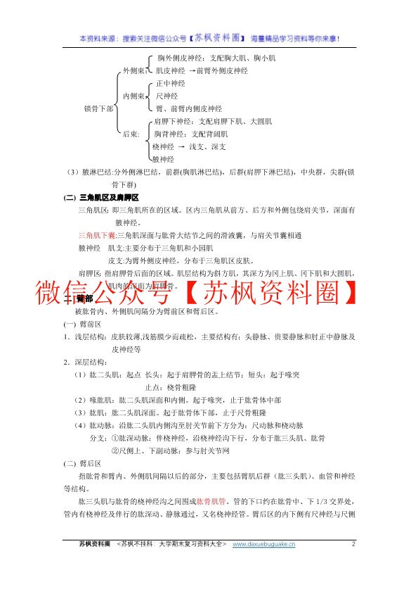 穴位解剖学